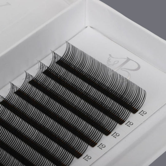Closed Fan Lash Tray